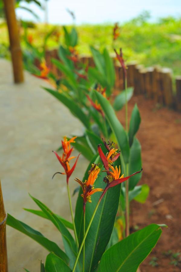 Pura Vida Varkala Hotel Buitenkant foto